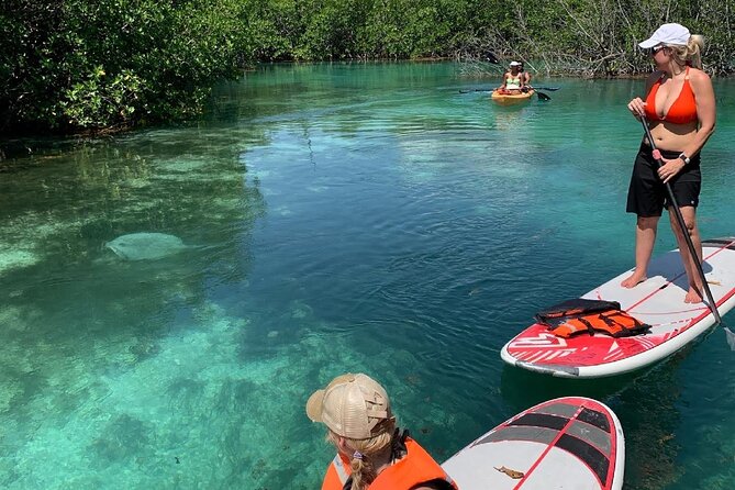 Paddleboard Kayak Tour in Cancun - Why Nichupté Lagoon is the real attraction