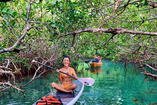Paddleboard Kayak Tour in Cancun - Through the mangrove tunnels