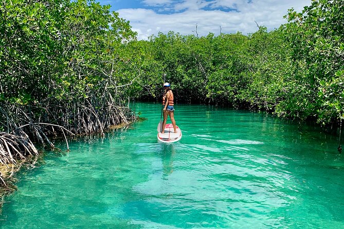 Paddleboard Kayak Tour in Cancun - What the tour includes, and what it does not