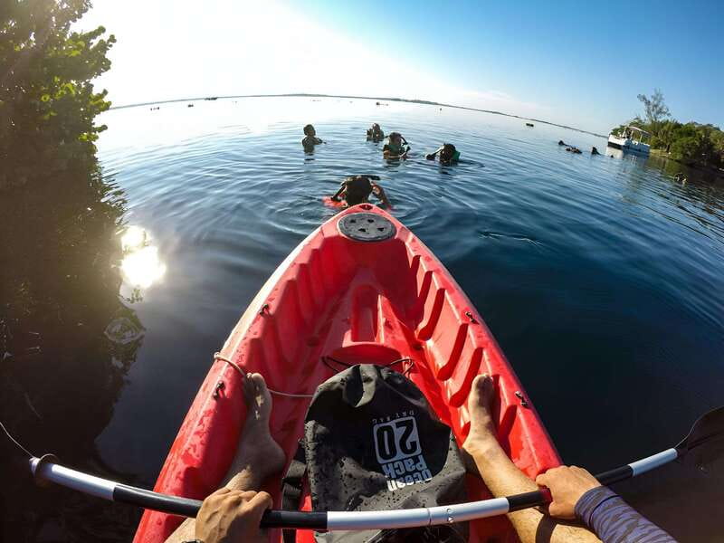 Paddleboard or kayak sunrise tour in Bacalar lagoon - The Black Cenote and its 90-meter drop