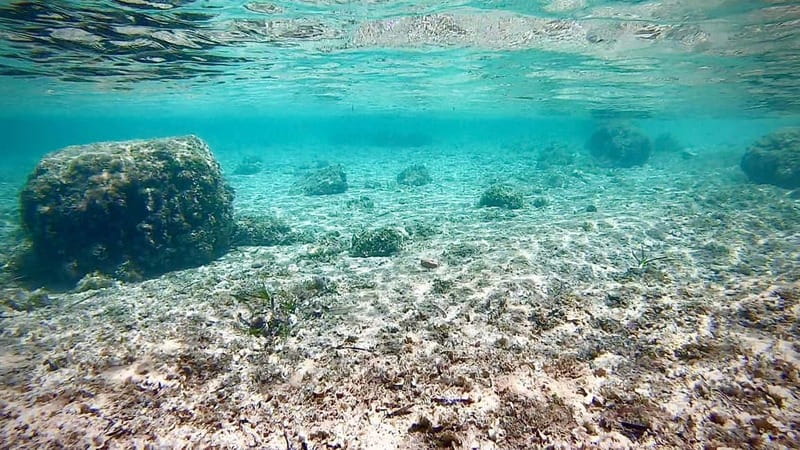 Palma de Mallorca: Private Boat Tour with Snorkel and Paddle - Drinks, food, and the relaxed side of the trip