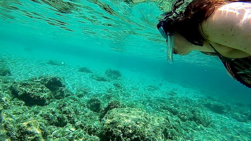 Palma de Mallorca: Private Boat Tour with Snorkel and Paddle - How long should you book?