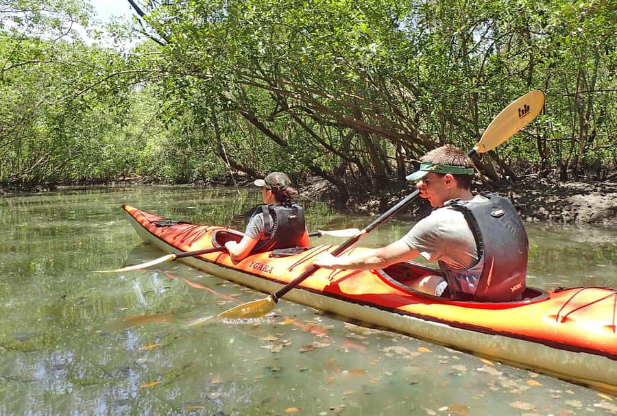 Paraty Bay: Half-Day Mangroves and Beaches Tour by Kayak - Entering the mangroves when the tide is right