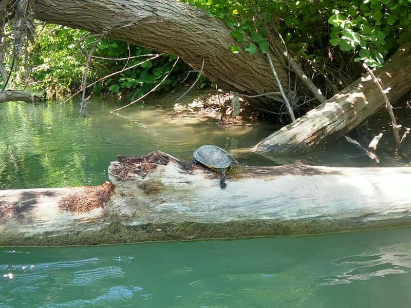 Parga: Kayaking Adventure in the Acheron River 13 km - What the Acheron River trip is really like
