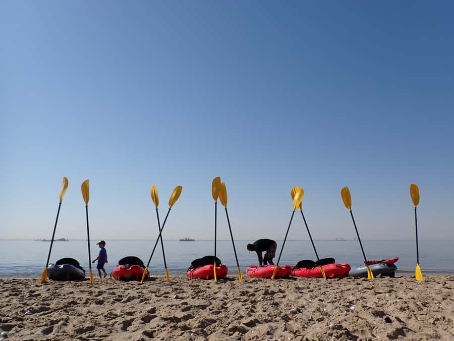 Pelican Point: Kayak with Seals Experience - Key points to know before you book