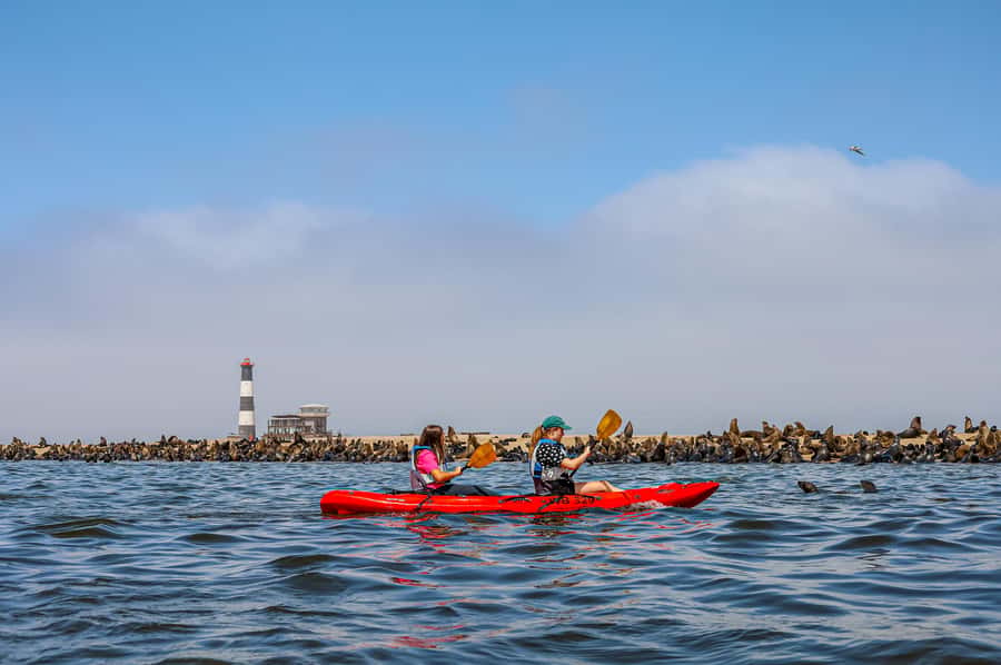Pelican Point: Kayak with Seals Experience - Reaching Pelican Point from Walvis Bay