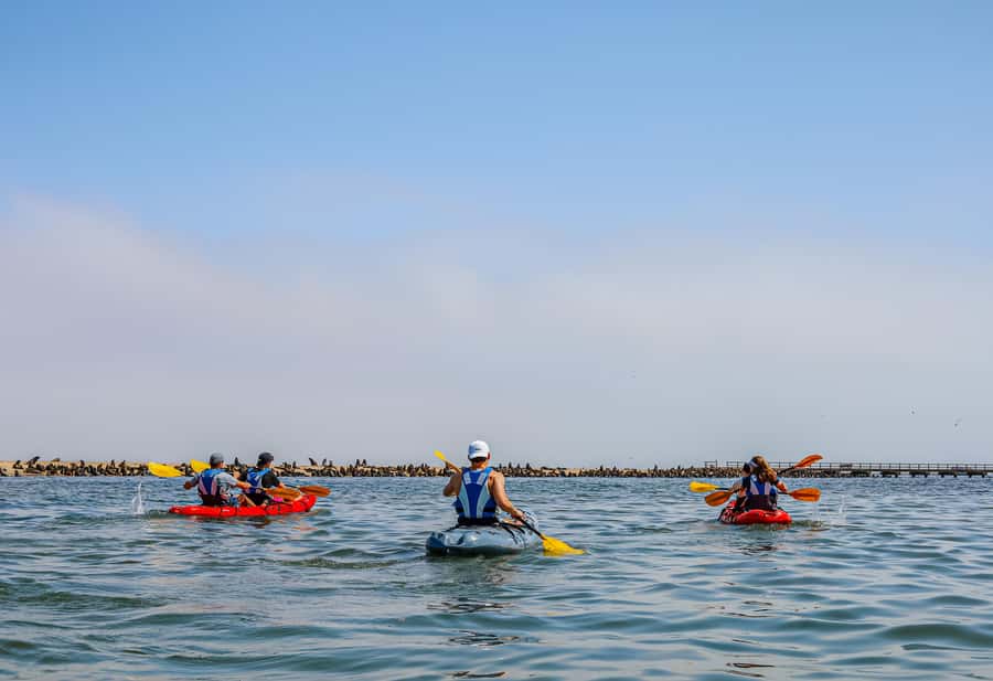 Pelican Point: Kayak with Seals Experience - Returning by 4x4 across the peninsula