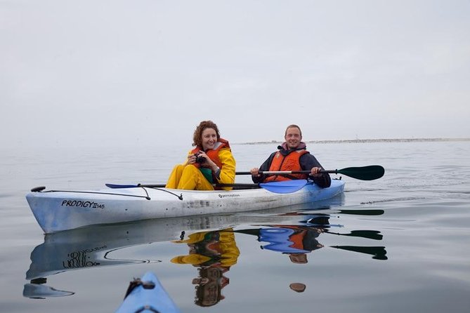 Pelican Point Kayaking Half-Day Tour - The 4x4 route across Walvis Bay