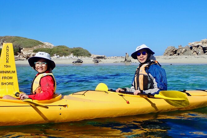 Penguin and Seal Islands Sea Kayaking Experience - How difficult is it for a beginner?