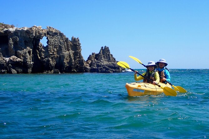 Penguin and Seal Islands Sea Kayaking Experience - Landing on Penguin Island