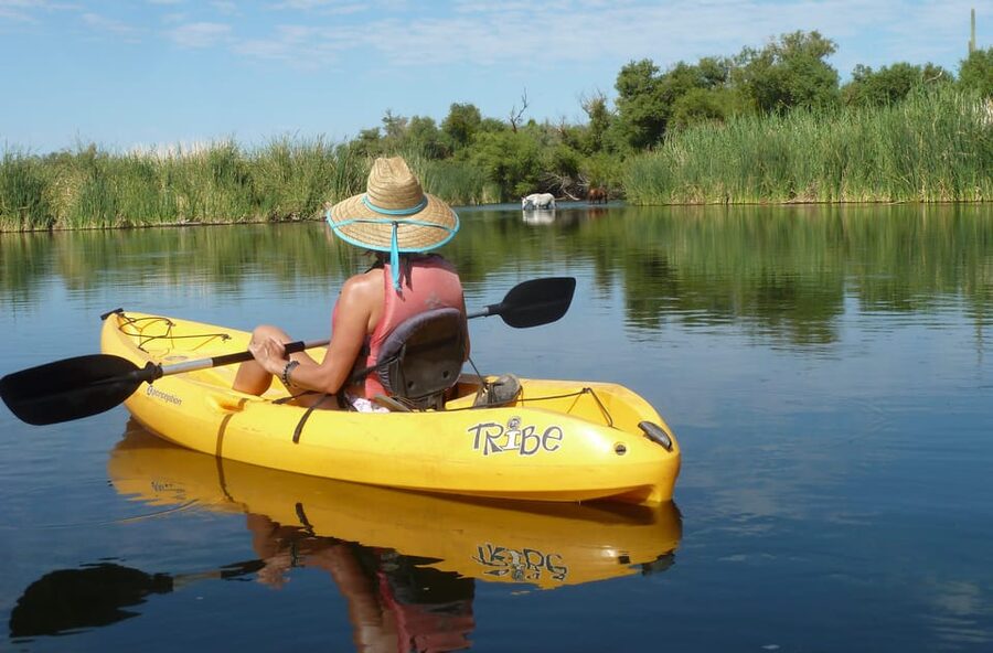 Phoenix: Self-Guided Kayaking Trip to Foxtail - Small details that make the day easier