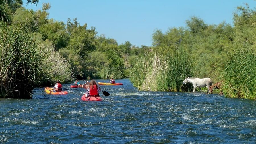 Phoenix: Self-Guided Kayaking Trip to Foxtail - Floating beneath Arizona’s desert cliffs