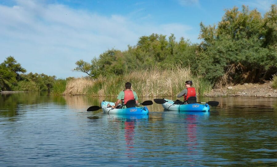 Phoenix: Self-Guided Kayaking Trip to Foxtail - Wildlife and Sonoran Desert scenery