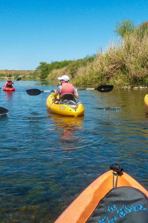 Phoenix: Self-Guided Kayaking Trip to Foxtail - Who should book this kayaking trip?