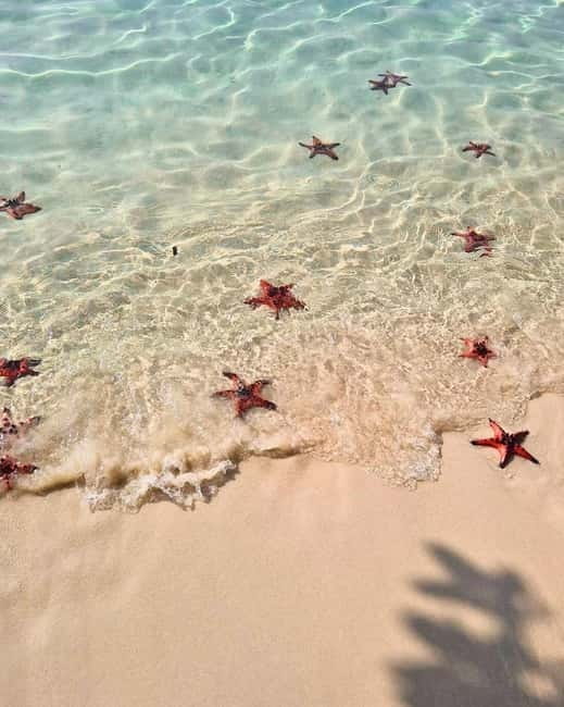 Phu Quoc: Kayaking with Starfish Beach and Bee Farm Tour - Quiet paddling on the Cua Can River