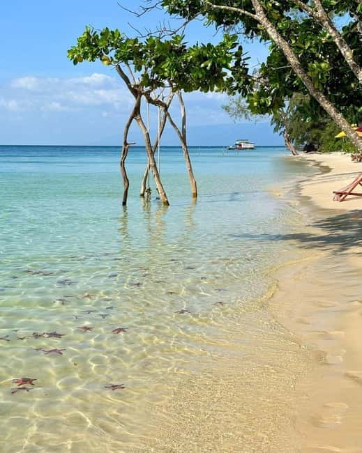 Phu Quoc: Kayaking with Starfish Beach and Bee Farm Tour - How to treat the starfish responsibly