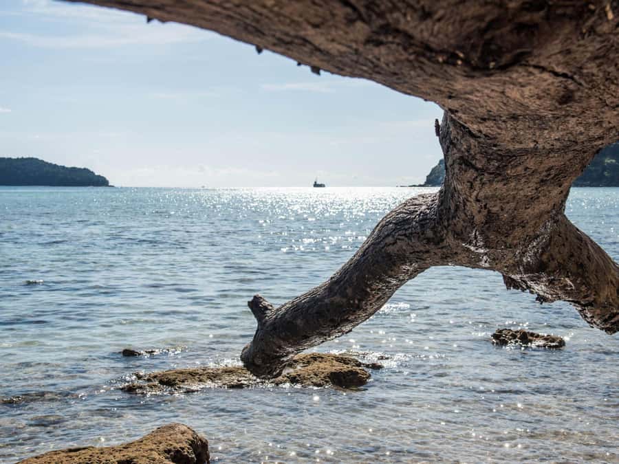 Phuket: James Bond Island Sea Canoe by Speedboat - Cruising the mangroves and passing Laem Had