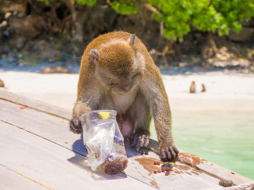 Phuket: James Bond Island Sea Canoe with lunch by Big Boat - Key points to know before you book