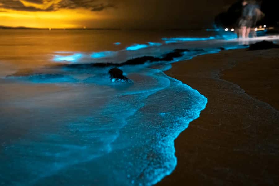 Phuket: Phang Nga Bay Bioluminescent Plankton and Sea Canoes - Speedboat views across Phang Nga Bay