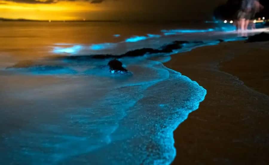 Phuket : Twilight Sea Canoe Tour with Glowing Plankton - Panak Island and the first cave passages
