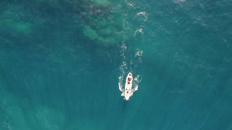 Pico island: guided kayak and snorkel tour - Why this stretch of Pico coast works so well by kayak