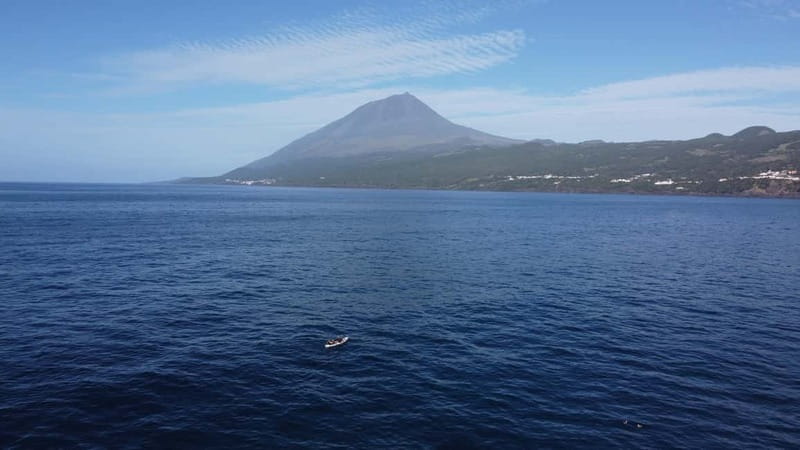Pico island: guided kayak and snorkel tour - Meeting at the Lajes harbour office