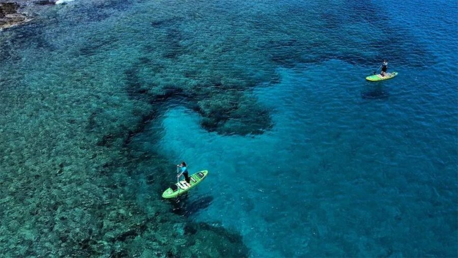 Playa Blanca: Stand up paddle class for beginners - Wind, waves, and changing conditions