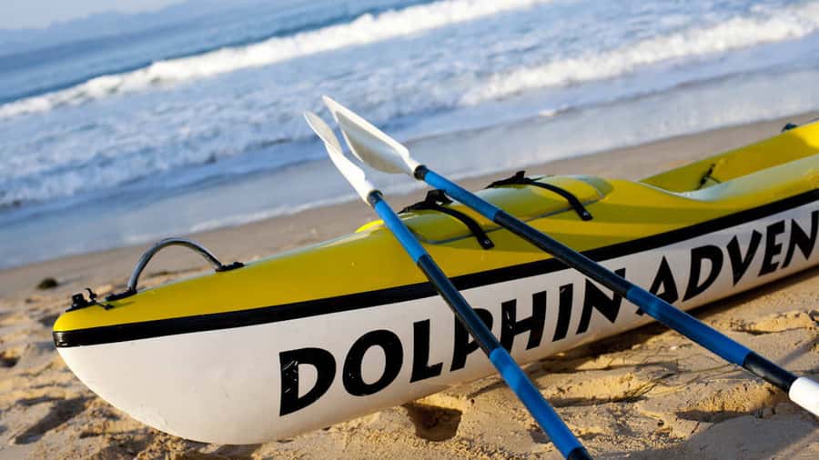 Plettenberg Bay: Guided Sea Kayak Tour - Starting from Central Beach