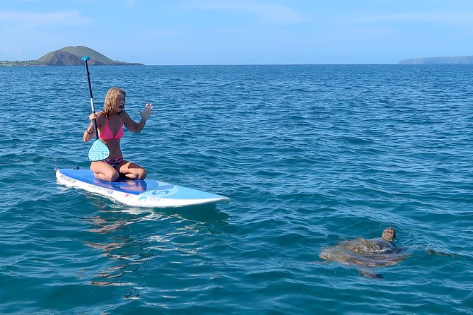 Private Beginner Paddleboard Lesson with Snorkel in Turtle Town - Paddling Along the Wailea Coast