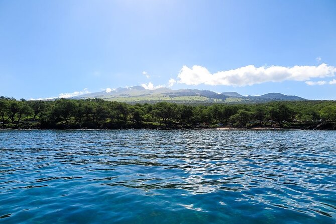Private Beginner Paddleboard Lesson with Snorkel in Turtle Town - Price, Timing, and What You Receive