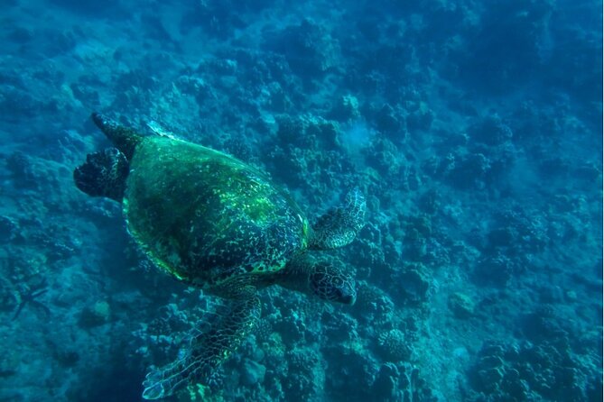 Private Beginner Paddleboard Lesson with Snorkel in Turtle Town - What to Wear and Bring to Makena Landing
