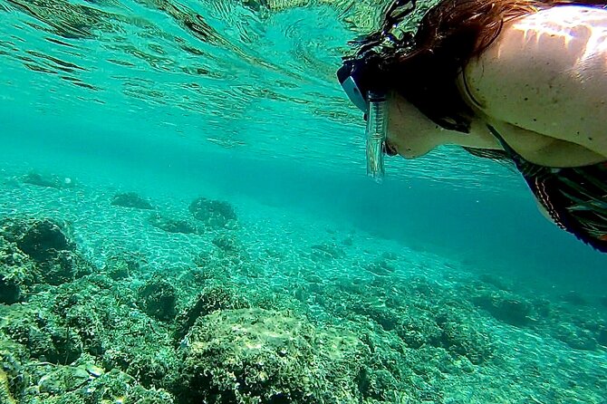 Private Boat Tour from Palma with Snorkeling and Paddle Surfing - A private outing that works well for families
