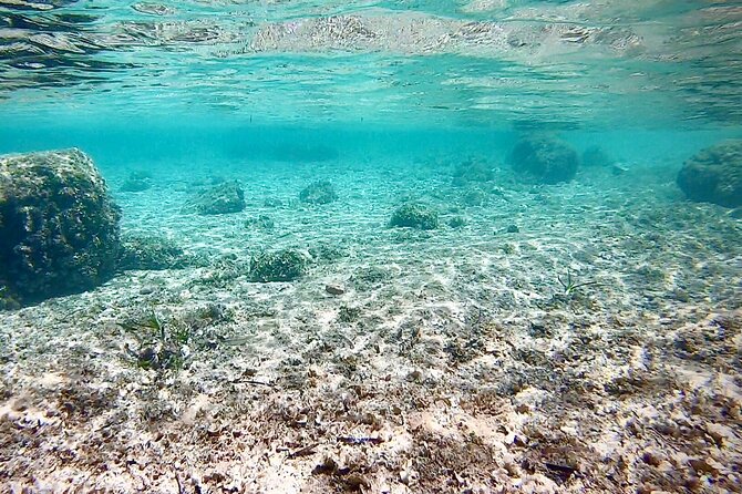 Private Boat Tour from Palma with Snorkeling and Paddle Surfing - What the captain adds to the day