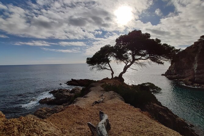 Private Costa Brava Kayak Experience with Snorkel from Barcelona - Getting ready on the beach