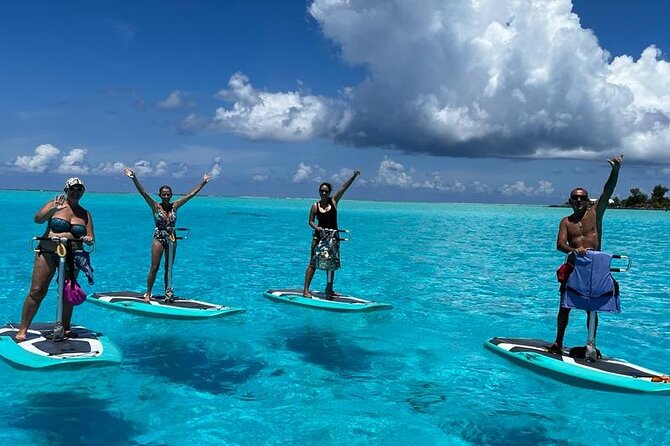 Private Electric Paddle Cruise in Bora Bora - What the private format adds