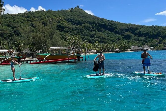 Private Electric Paddle Cruise in Bora Bora - Is $55 good value?