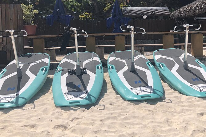 Private Electric Paddle Cruise in Bora Bora - Timing, weather, and practical details