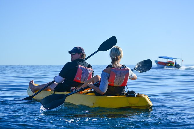 Private Glass bottom Kayak and snorkel at two Bays - Weather, water conditions, and flexibility