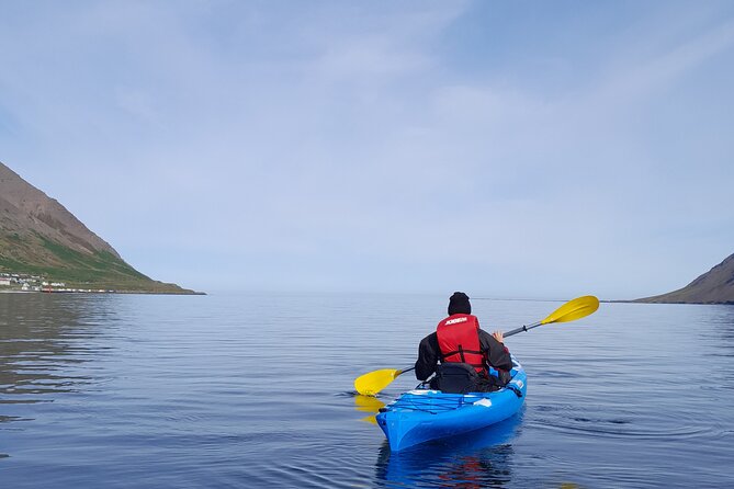 Private: Guided kayak tour in Siglufjörður / Siglufjordur. - Why Siglufjörður Works So Well by Kayak