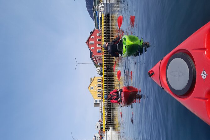 Private: Guided kayak tour in Siglufjörður / Siglufjordur. - The Evanger Avalanche Site