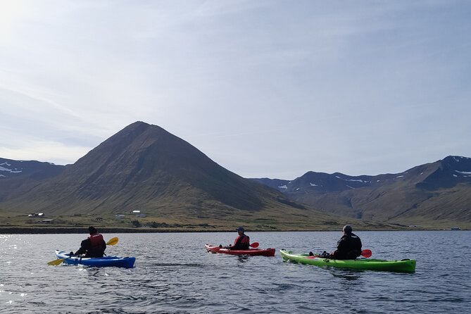 Private: Guided kayak tour in Siglufjörður / Siglufjordur. - Selvíkurnef Lighthouse and the Wider Fjord
