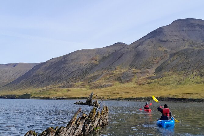 Private: Guided kayak tour in Siglufjörður / Siglufjordur. - The Shipwreck and the Harbor View