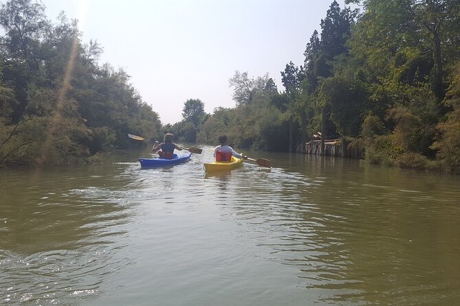 Private Kayak Tour in the Venetian Lagoon - Birdlife, fish, and the lagoon’s fragile edge