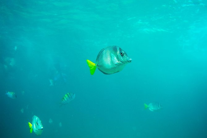 Private Los Cabos Arch & Playa del Amor tour by Glass bottom kayak - Why this kayak trip feels different from a standard Cabo cruise