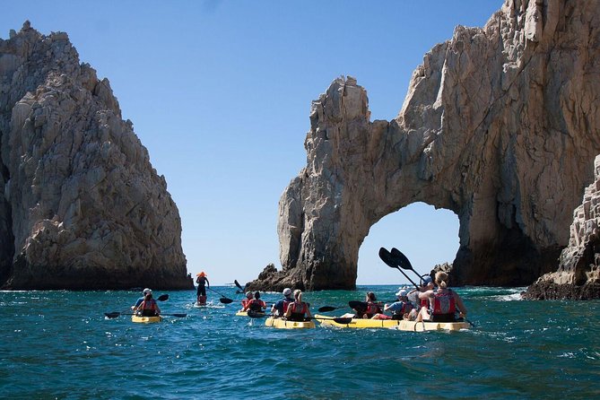 Private Los Cabos Arch & Playa del Amor tour by Glass bottom kayak - El Arco and the sea lion colony