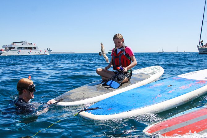 Private Paddleboard and snorkel at the arch - What happens at each planned stop