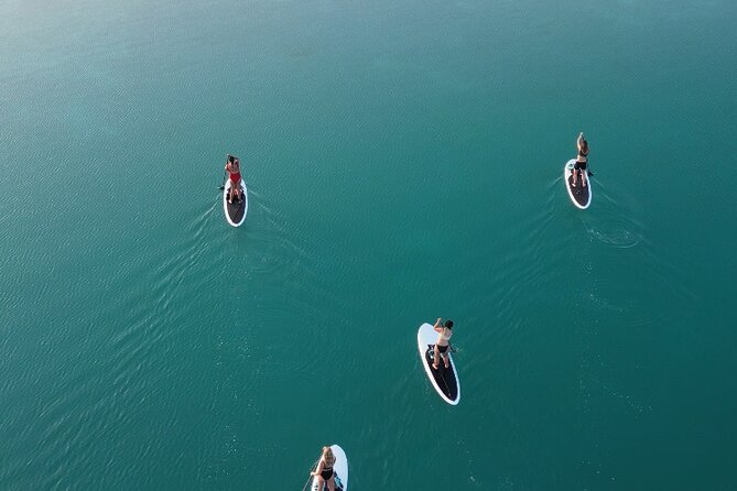 Private Paddleboard Experience in Bacalar - Black Cenote and the darker water