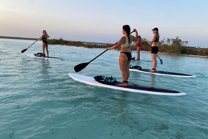 Private Paddleboard Experience in Bacalar - Setting out from Costera 451