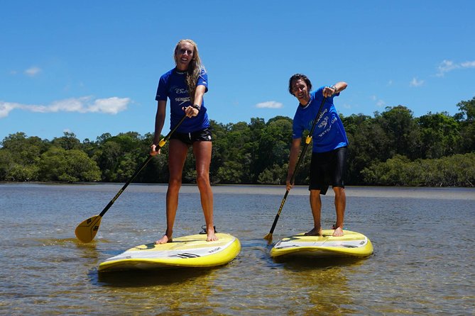 Private Stand Up Paddle Boarding Tours Byron Bay - Key points before you book