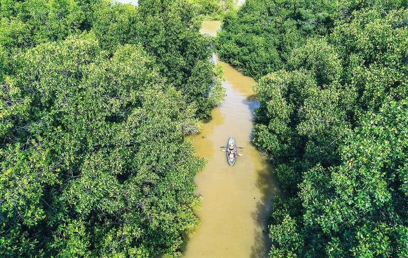 Puerto Escondido: Kayak Adventure On Manialtepec Lagoon - Who will enjoy this morning on the water